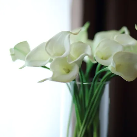 Hotel Stelle The Businest