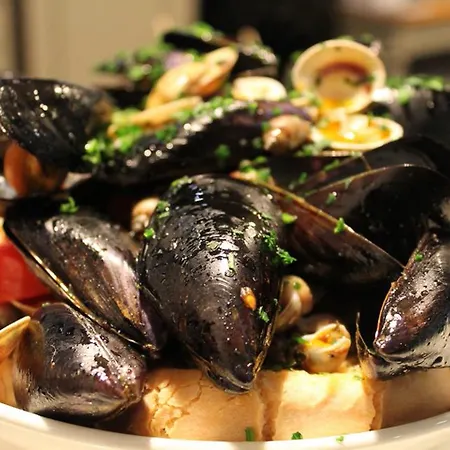 Stelle The Businest Hotel