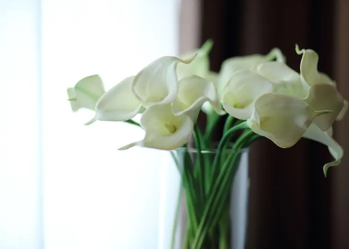 Ξενοδοχείο Stelle The Businest