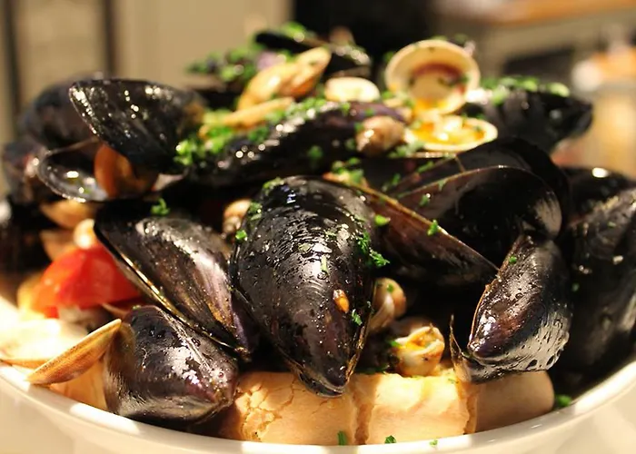 Stelle The Businest Ξενοδοχείο