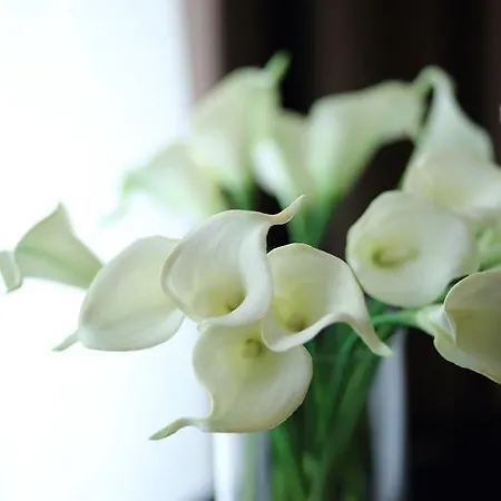 Stelle The Businest Νάπολη